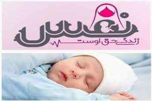 تولد هفدهمین نوزاد نفس سپیدان در شهریورماه؛ ثمره شناسایی به‌موقع و حمایت تخصصی