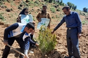 کاشت 12 اصله نهال در روستای خلیلی